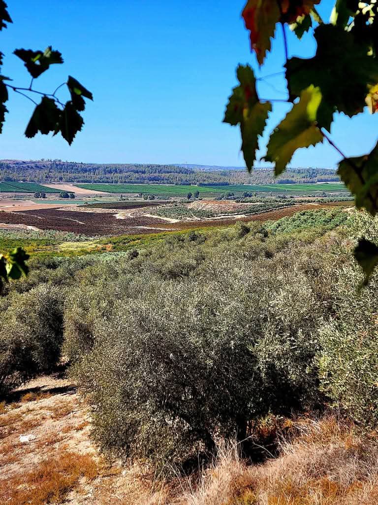 القدس | موسوعة القرى الفلسطينية